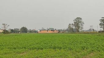 Hotel Shiva's Hippies Colony