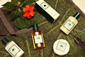 Mapleton Cabins & Caravan Park