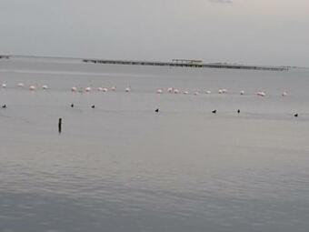 Ver fotos