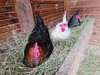 Apartamento Summer House Tarragona