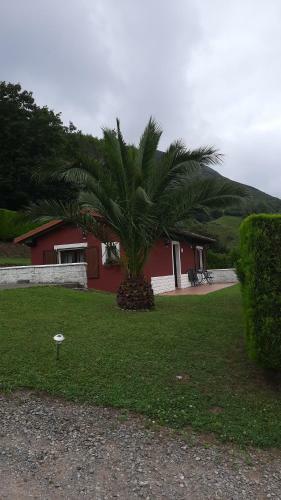 Ver fotos
