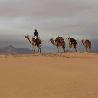 Hotel Bedouin Future Camp