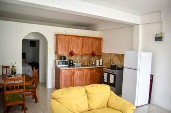 Entire Green Castle Apartment#3 In City Of Roseau