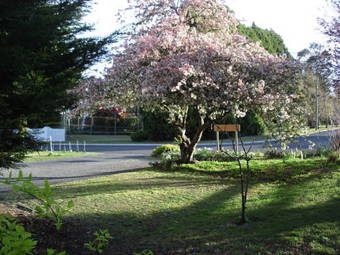 Bed & Breakfast Explorers Lodge