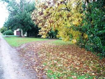 Eagle's View Bed & Breakfast