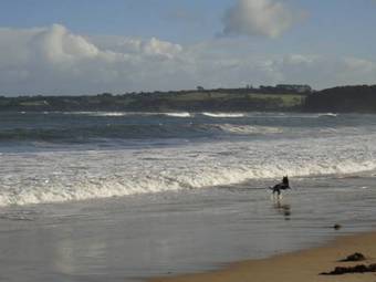 Aparthotel Bayplay Cottages & Accommodation