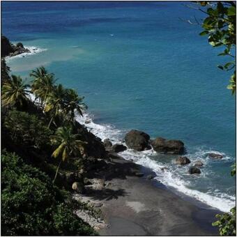 Apartamento La Pause Randonn�e De Grand'rivi�re