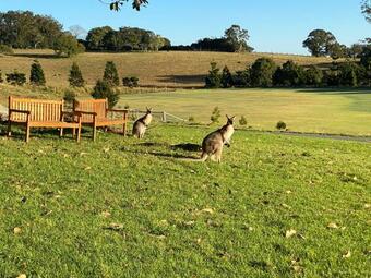 Hotel Hazelwood Estate