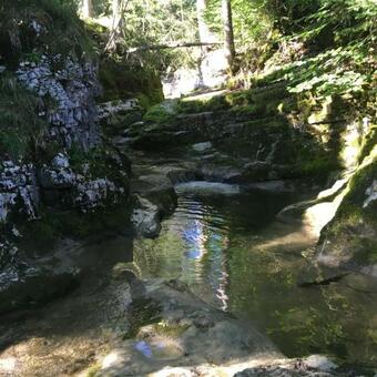 Apartamento Ferienwohnung Rosalie