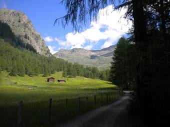 Bed & Breakfast Haus Pinter