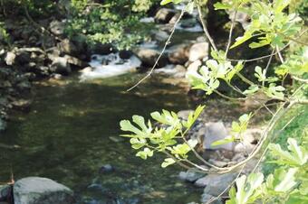 Agroturismo El Niu Casa Rural