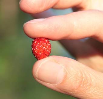 Apartamento Hanserhof