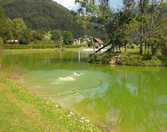 Apartamento Ferienwohnung Teufl