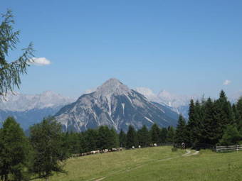 Apartamento Haus Susi