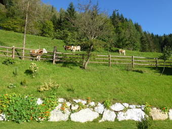 Hostal Pension Ehrenfried