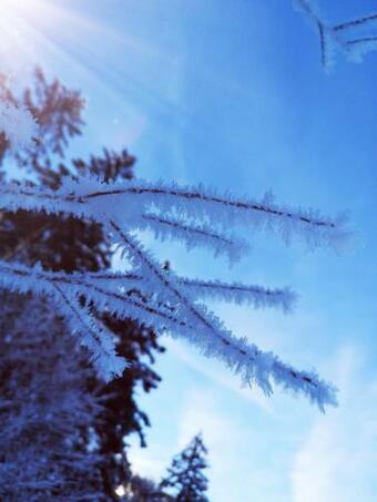 Apartment Ausseerland - Willkommen Bei Freunden