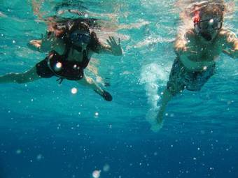 Kingfisher Beach House