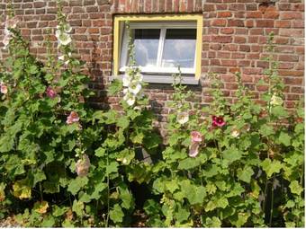 Bed & Breakfast Appeltern