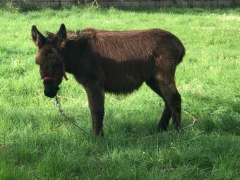 Casa Del Aut�n - Couto Mixto