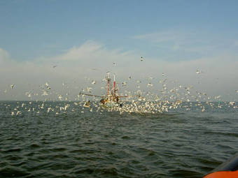 Bed & Breakfast Het Huis Van De Wadden