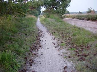 Hotel Herberg De Roskam