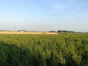 Agroturismo De Appelgaard