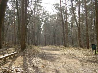 Spacious Apartment In Posterholt With Terrace