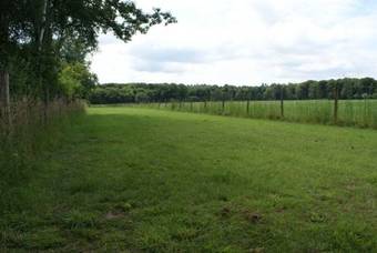 Bed & Breakfast B&amp;b Greyt Place