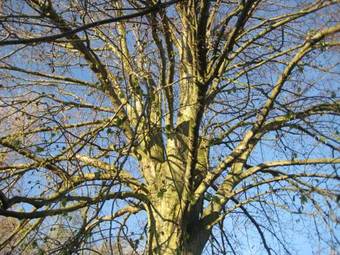 Bed & Breakfast Zeeland