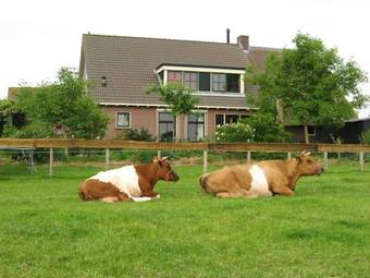 Broeks' Bed En Brood