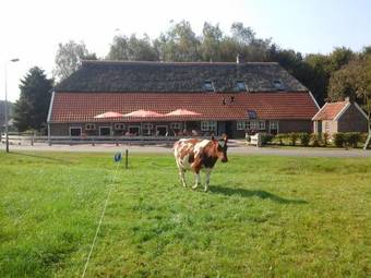 Vakantieboerderij B&B De Luttikhoeve