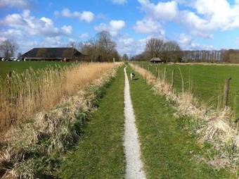 B&B De Oelesprong Westernieland