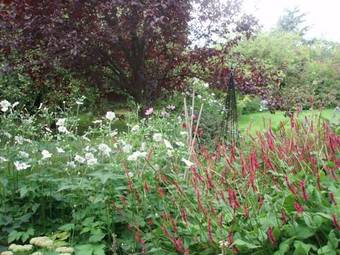 Bed & Breakfast White House Farm