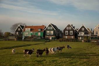 Apartments Waterland (kamerverhuur Waterland)