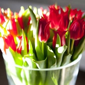 Bed & Breakfast B&amp;b De Drentse Es