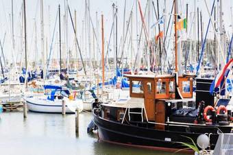 Topparken ? Park Westerkogge