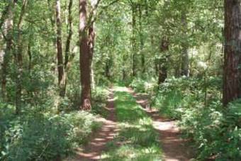 Holiday Home De Wildenberg Zuidwolde