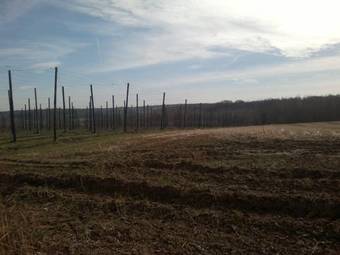 Hotel Gasthof Euverem