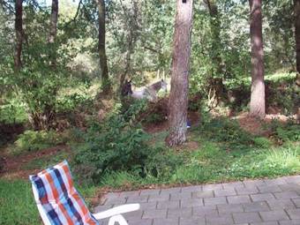 Alluring Holiday Home In Norg With Sauna, Terrace, Garden