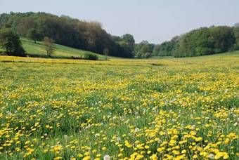 Apartamento Aanhetgrotebos