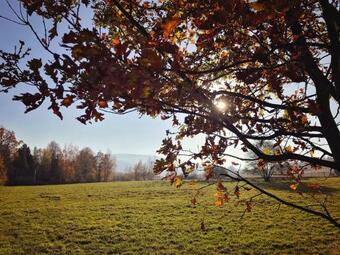 Agroturystyka Teosiowo