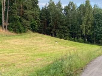 Dom Z Basenem I Widokiem Na ??k?