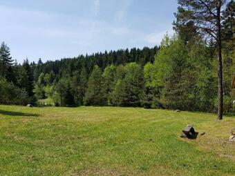 Smerekowiec Domek W Lesie