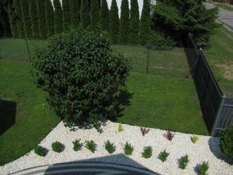 Bed & Breakfast Heveliusz