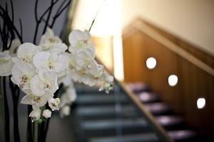 Hotel Hilton London Heathrow Airport Terminal 5