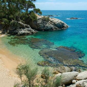 Apartamento Cala Del Pi