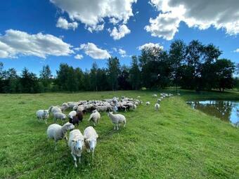 Unique & New Tiny House Getaway In The Nature