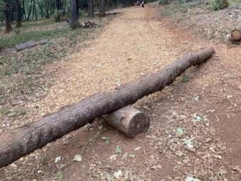 Tentrr Signature Site - Norcal Red Dog Ridge Base Camp