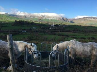 Bed & Breakfast Teac Seain Bnb.
