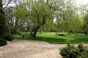 Thatched Farm Bed And Breakfast